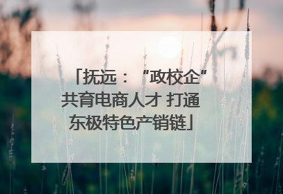 抚远：“政校企”共育电商人才 打通东极特色产销链