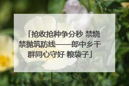抢收抢种争分秒 禁烧禁抛筑防线——郎中乡干群同心守好 粮袋子