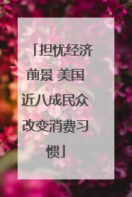 担忧经济前景 美国近八成民众改变消费习惯