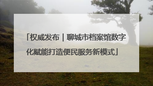 权威发布｜聊城市档案馆数字化赋能打造便民服务新模式
