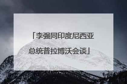 李强同印度尼西亚总统普拉博沃会谈