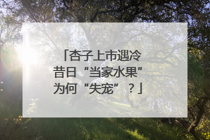 杏子上市遇冷 昔日“当家水果”为何“失宠”？