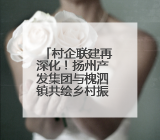 村企联建再深化！扬州产发集团与槐泗镇共绘乡村振兴新蓝图