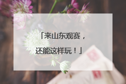 来山东观赛，还能这样玩！