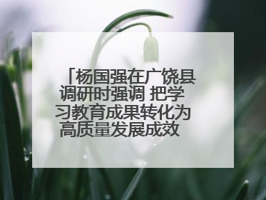 杨国强在广饶县调研时强调 把学习教育成果转化为高质量发展成效 推动经济稳健向好进中提质