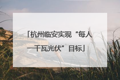 杭州临安实现“每人一千瓦光伏”目标