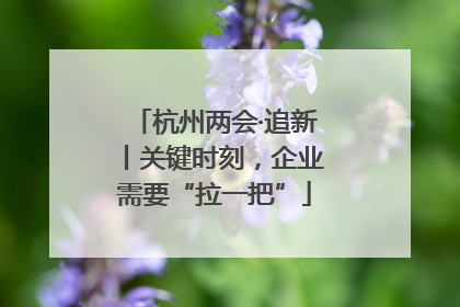 杭州两会·追新丨关键时刻，企业需要“拉一把”
