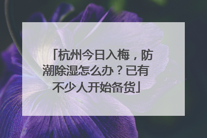 杭州今日入梅，防潮除湿怎么办？已有不少人开始备货