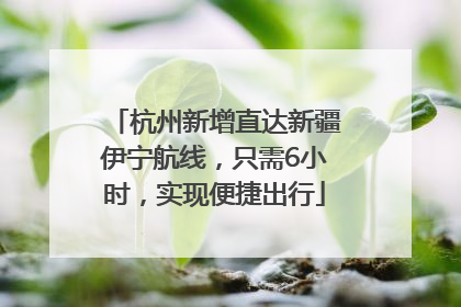 杭州新增直达新疆伊宁航线，只需6小时，实现便捷出行