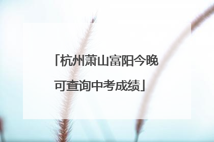 杭州萧山富阳今晚可查询中考成绩
