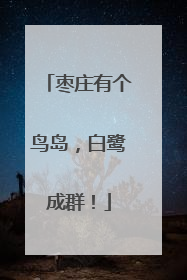 枣庄有个鸟岛，白鹭成群！