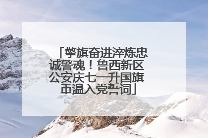 擎旗奋进淬炼忠诚警魂！鲁西新区公安庆七一升国旗 重温入党誓词