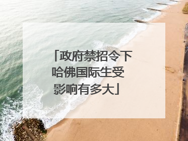 政府禁招令下 哈佛国际生受影响有多大