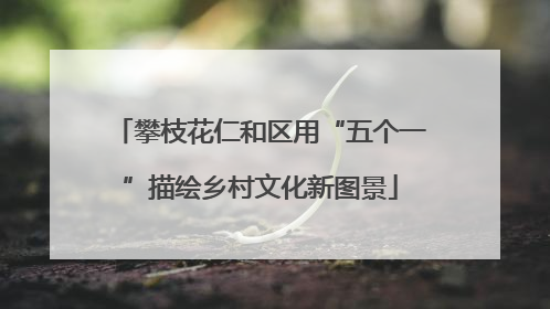 攀枝花仁和区用“五个一”描绘乡村文化新图景
