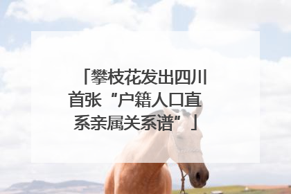 攀枝花发出四川首张“户籍人口直系亲属关系谱”