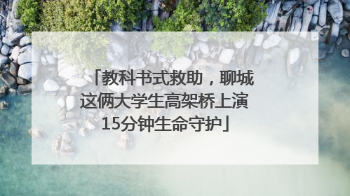 教科书式救助，聊城这俩大学生高架桥上演15分钟生命守护