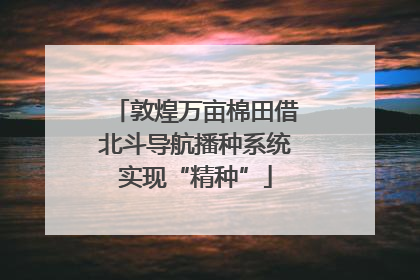 敦煌万亩棉田借北斗导航播种系统实现“精种”
