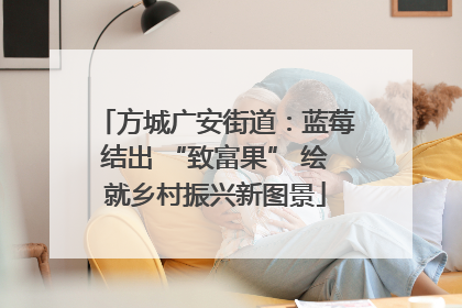 方城广安街道：蓝莓结出 “致富果” 绘就乡村振兴新图景