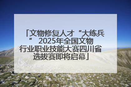 文物修复人才“大练兵” 2025年全国文物行业职业技能大赛四川省选拔赛即将启幕