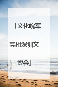 文化皖军亮相深圳文博会