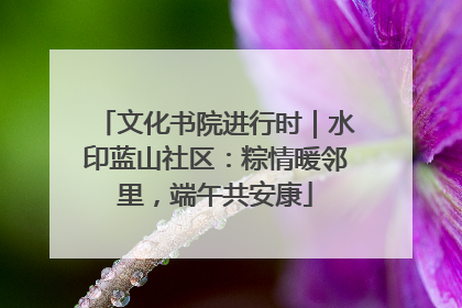 文化书院进行时｜水印蓝山社区：粽情暖邻里，端午共安康
