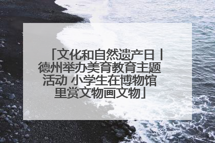 文化和自然遗产日丨德州举办美育教育主题活动 小学生在博物馆里赏文物画文物