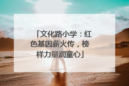 文化路小学：红色基因薪火传，榜样力量润童心