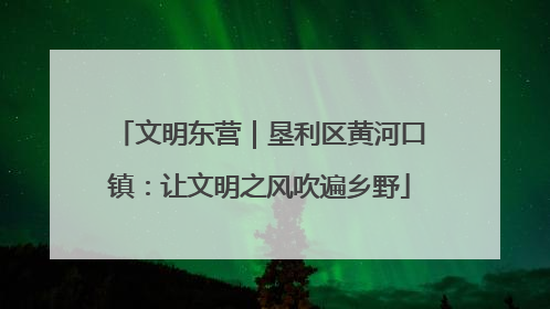 文明东营｜垦利区黄河口镇：让文明之风吹遍乡野