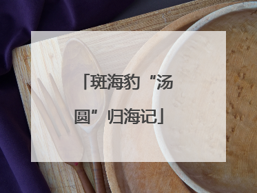斑海豹“汤圆”归海记