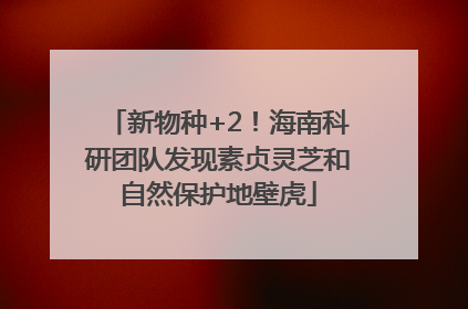 新物种+2！海南科研团队发现素贞灵芝和自然保护地壁虎