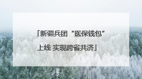 新疆兵团“医保钱包”上线 实现跨省共济