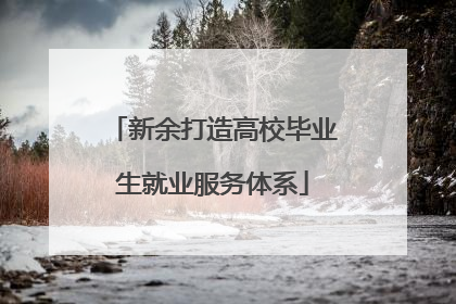 新余打造高校毕业生就业服务体系