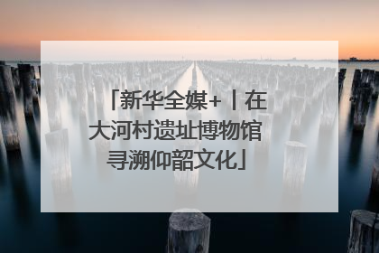 新华全媒+丨在大河村遗址博物馆寻溯仰韶文化