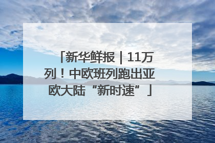 新华鲜报｜11万列！中欧班列跑出亚欧大陆“新时速”