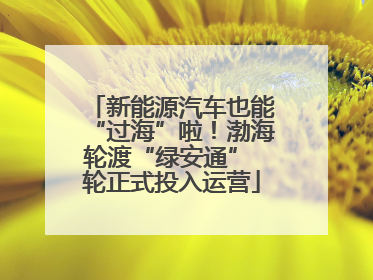 新能源汽车也能“过海”啦！渤海轮渡“绿安通” 轮正式投入运营