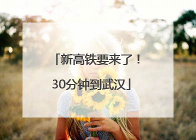 新高铁要来了！30分钟到武汉