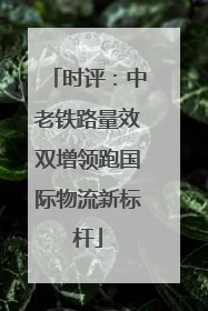 时评：中老铁路量效双增领跑国际物流新标杆