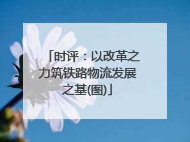 时评：以改革之力筑铁路物流发展之基(图)