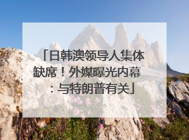 日韩澳领导人集体缺席！外媒曝光内幕：与特朗普有关
