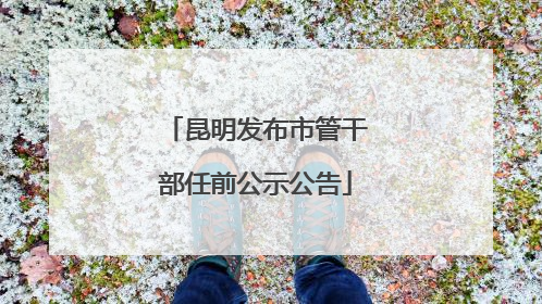 昆明发布市管干部任前公示公告
