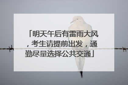 明天午后有雷雨大风，考生请提前出发，通勤尽量选择公共交通