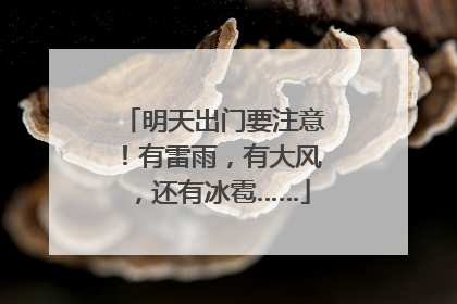 明天出门要注意！有雷雨，有大风，还有冰雹……