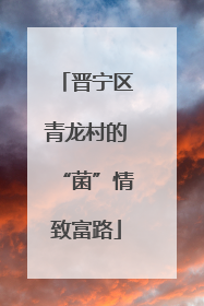 晋宁区青龙村的“菌”情致富路