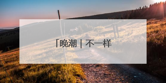 晚潮｜不一样的新塘龙舟
