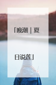 晚潮｜夏日说莲