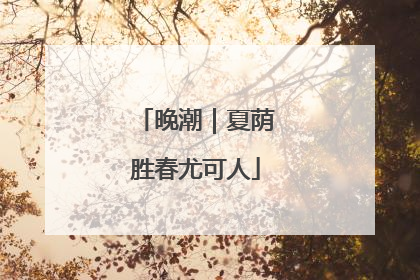 晚潮｜夏荫胜春尤可人