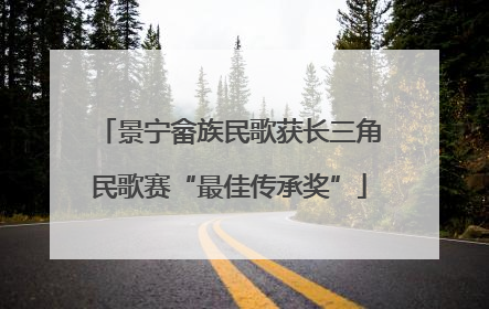 景宁畲族民歌获长三角民歌赛“最佳传承奖”