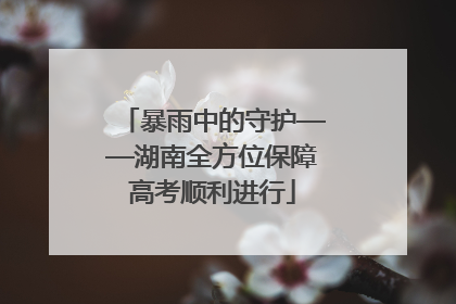 暴雨中的守护——湖南全方位保障高考顺利进行