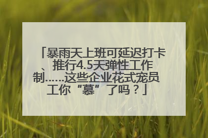 暴雨天上班可延迟打卡、推行4.5天弹性工作制……这些企业花式宠员工你“慕”了吗？
