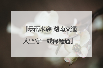 暴雨来袭 湖南交通人坚守一线保畅通